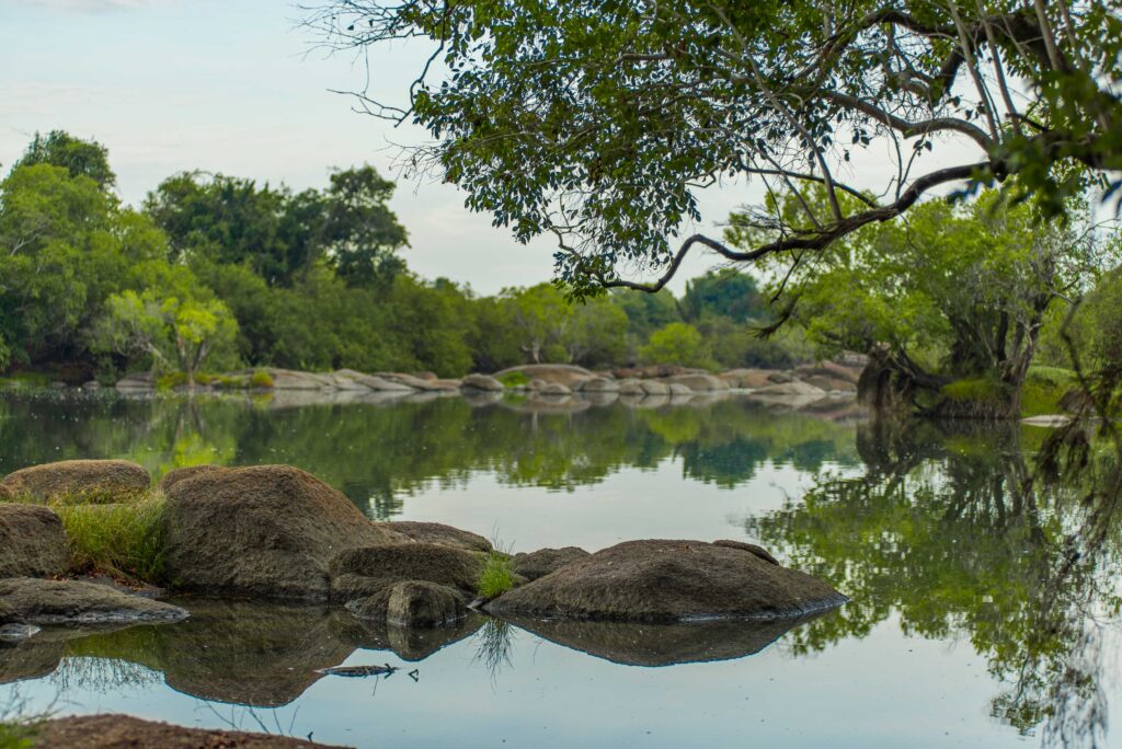 Kasabushi Camp Kafue River 5